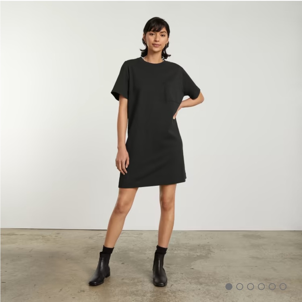 Everlane 100% cotton t shirt dress